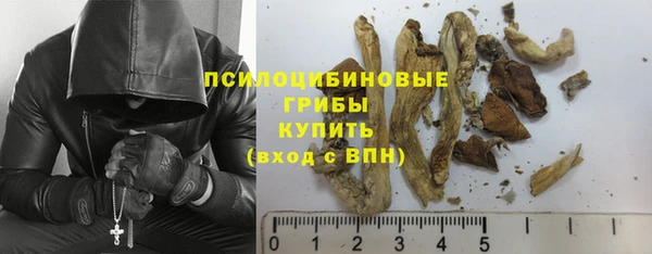 дмт Алексин
