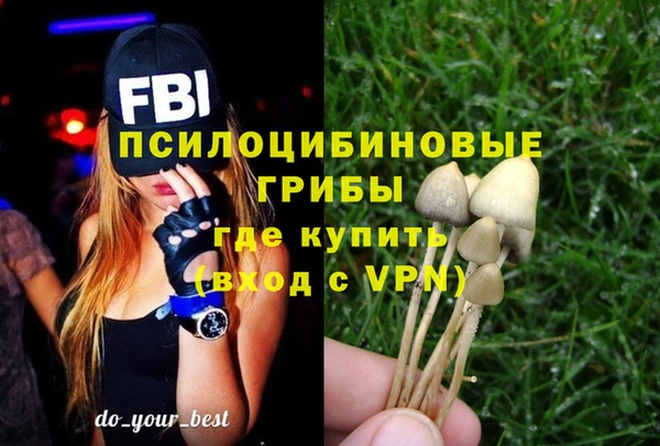 дмт Алексин