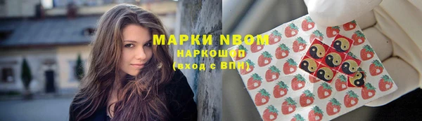 эйфоретик Алзамай