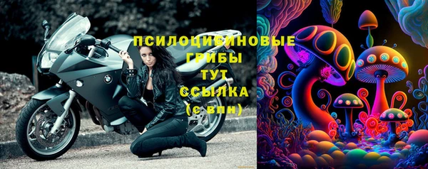 дмт Алексин