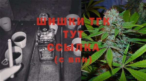 дмт Алексин